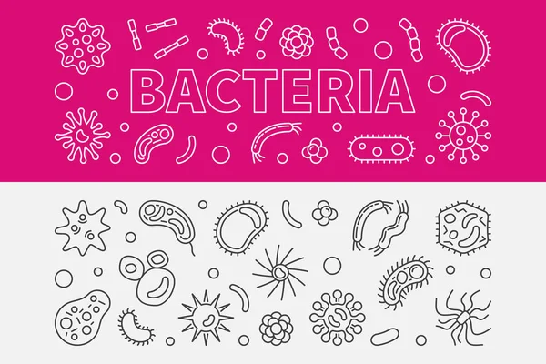 Набор из 2 баннеров с контурами бактерий. Векторная иллюстрация — стоковый вектор