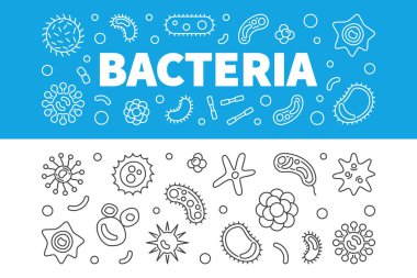 Bakteri yatay Banner ayarlayın. Doğrusal vektör çizim