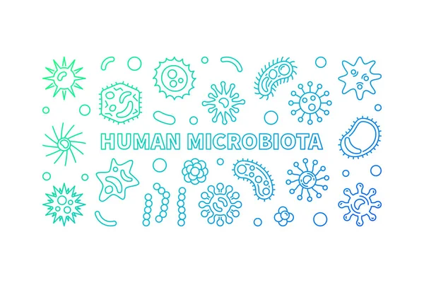 Banner orizzontale luminoso microbiota umano - illustrazione vettoriale — Vettoriale Stock