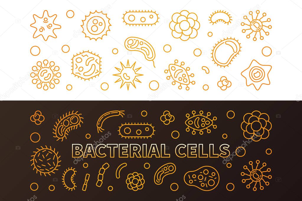 Bacterial cells 2 golden line banners - vector illustration