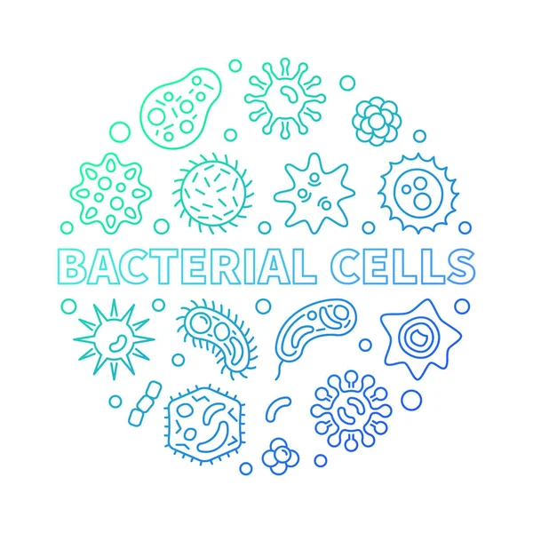 Бактериальные клетки круглые векторные красочные контуры иллюстрации — стоковый вектор