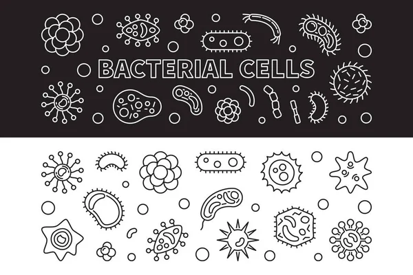 Бактериальные клетки 2. Векторная иллюстрация — стоковый вектор
