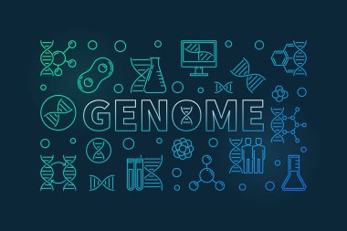 Genom vektör renkli anahat yatay çizim