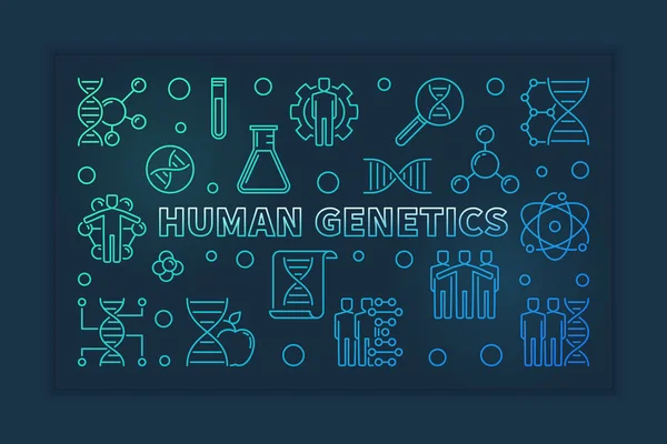 Genética humana vector colorido lineal horizontal ilustración — Archivo Imágenes Vectoriales