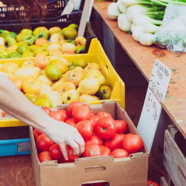 Yaz açık çiftçiler domateslere Pazar. Sağlıklı ve yerel gıda ve toplum kavramı. Dikey