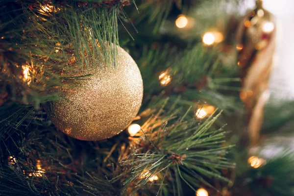 Seasonal background with Christmas toy on the tree. Celebration concept. Soft focus. Horizontal