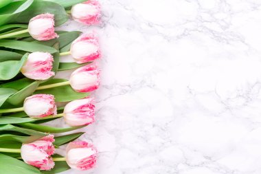 Beyaz mermer arka planda pembe laleler. Bahar ve kutlama konsepti. Uzayı kopyala Üst Manzara. Üst Manzara. Yatay