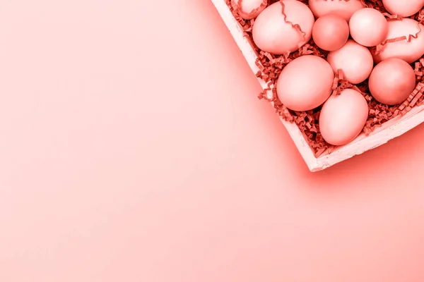 Multicolor Eggs White Tray Creative Easter Concept Modern Solid Pink — Stock Photo, Image