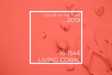 Flip flop ve deniz kabukları beyaz arka plan üzerinde beyaz. Yatay. Yaşam mercan Tema - 2019 yılın renk