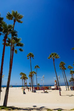 Palmiye ağaçları ile tripical plaj. Tatil ve tatil kavramı. California manzara. Dikey