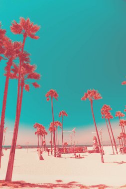 Palmiye ağaçları ile tripical plaj. Tatil ve tatil kavramı. California manzara. Tonlama gerçeküstü mercan. Dikey