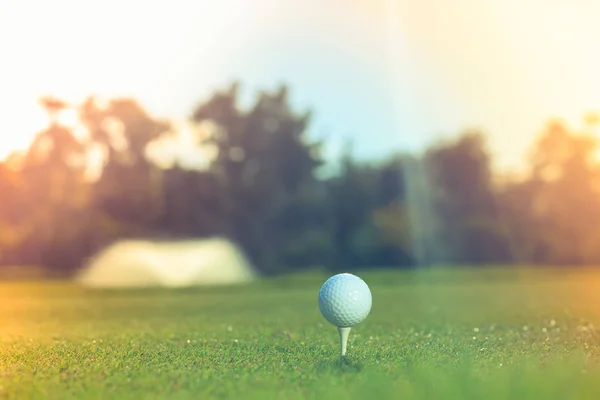 Close Golf Ball Tee Concept Fresh Start Horizontal Highlighted Areas — Stock Photo, Image