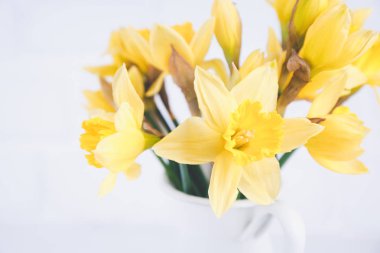 Narcissuses, beyaz tuğla arka plan ile jar. Bahar, anneler günü ve Paskalya kavramı. Yatay, görünümü kadar yakın