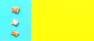 Üç deniz kabuğu ile sarı neon duotone arka plan