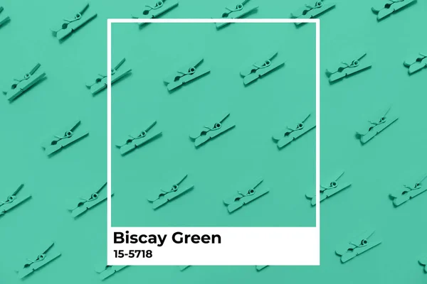 Muster mit Wäscheklammern. grünes monochromes Thema — Stockfoto
