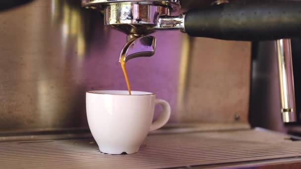 Кава, що вливається в чашку в професійну кавоварку — стокове відео