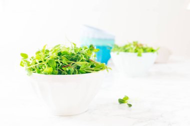 Kavanozda mikro yeşil salata. Süper yiyecek konsepti