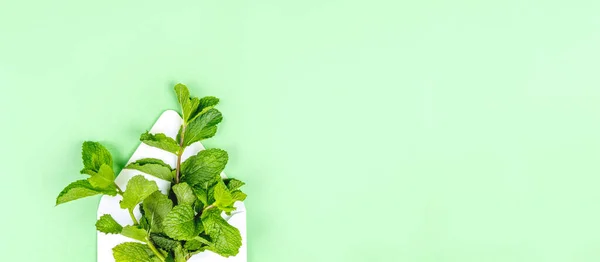 Sobre blanco con hojas de menta en el moderno fondo verde sólido — Foto de Stock