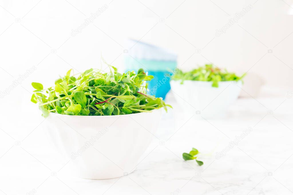 Mixed microgreens salad in bowl. Superfood snack concept