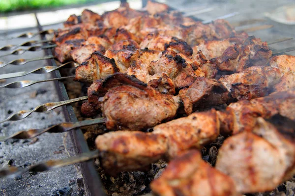 Shashlik Cocinado Sobre Fuego Abierto Sobre Las Brasas —  Fotos de Stock