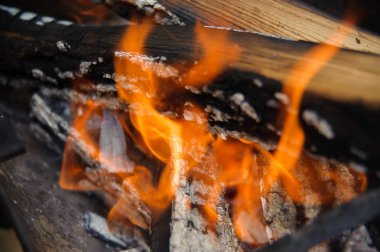 Bir ağacın kesilmesinden kırmızı alev. Bir brazier yanan yakacak odun. F