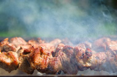 Brazier açık havada et kebap ile taze lezzetli barbekü