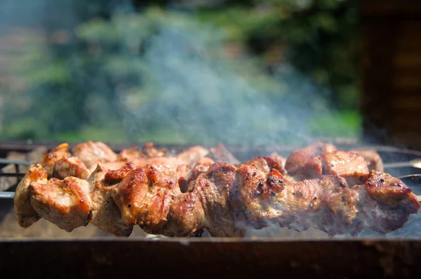 Fresca barbacoa sabrosa con kebab de carne en brasero al aire libre — Foto de Stock
