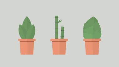 En az düz tasarımı: Bitki çeşitleri, basit yaprakları, şanslı bambu ve Bush illüstrasyon