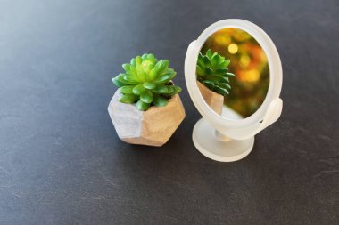 Bir masada koyu gri taş pot yan görünümü'nde bir bitki yeşim bitkisi masaüstü makyaj aynası standları