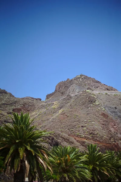 Naturaleza, montañas, islas, piedras y arbustos, palmeras, plantas y —  Fotos de Stock