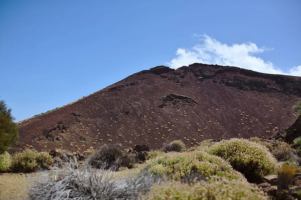 Acantilado oscuro en un parque nacional, en las montañas, paisaje con —  Fotos de Stock