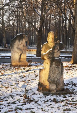 Bishkek 'teki meşe parkı. Kırgızistan