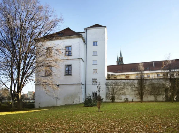 Castelo Piastas Silesianos Brzeg Voivodia Opole Polónia — Fotografia de Stock