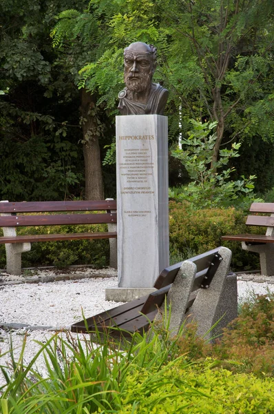 Monument Över Hippokrates Memorial Park Katowice Polen — Stockfoto