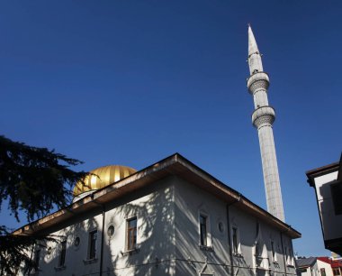 Batum Camii - Batum 'daki Orta Dgzame. Adjara Özerk Cumhuriyeti. Georgia