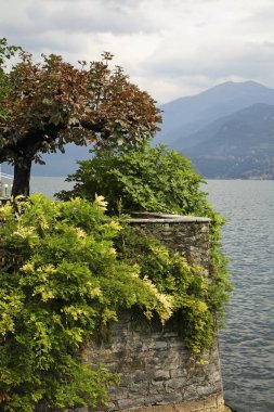 Cadenabbia 'da toprak seti. Lombardiya. İtalya