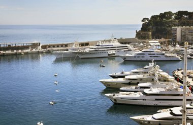 La Condamine bölgesinin manzarası. Monako Prensliği