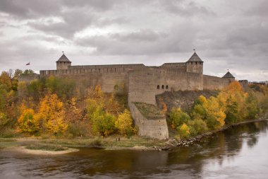 Ivangorod 'daki kale. Rusya