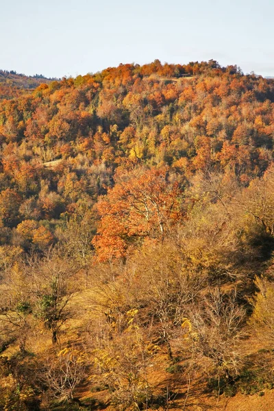ゲラティ村付近の風景 空西地区 アメレティ州 ジョージア — ストック写真
