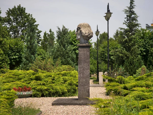 Monumento Nicolás Copérnico Parque Escuela Secundaria Nicolás Copérnico Ostrow Mazowiecka — Foto de Stock