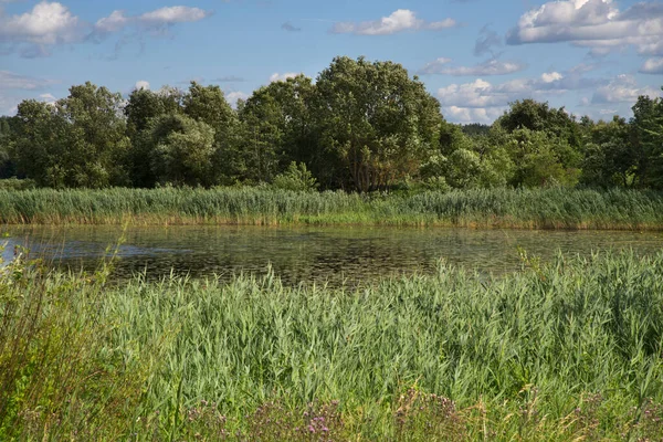 Paisaje Cerca Old Staryi Lepel Belarús — Foto de Stock