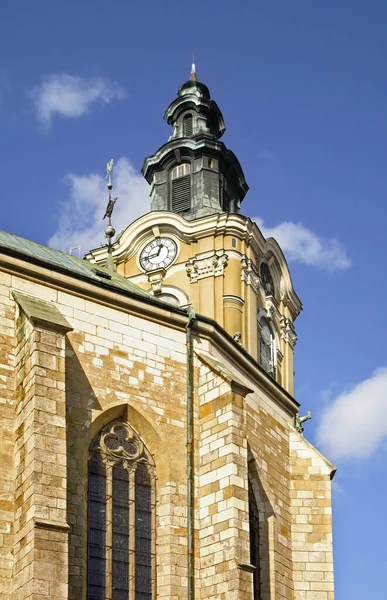 Cattedrale Assunzione Della Vergine Giovanni Battista Przemysl Polonia — Foto Stock