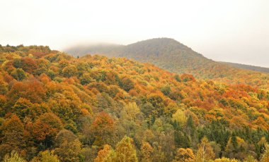 Ustrzyki Gorne 'daki Bieszczady Dağları. Polonya