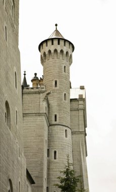Neuschwanstein - Bavyera 'daki yeni Swanstone Kalesi. Almanya