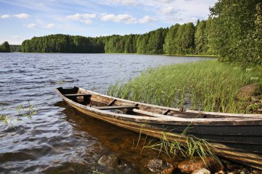 Maselga köyü yakınlarında Vendozero (Vendlake). Kargopol bölgesi. Arkhangelsk Oblastı. Rusya
