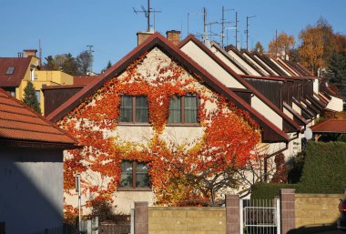 Cesky Krumlov 'un manzarası. Çek Cumhuriyeti