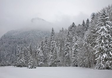 Oberammergau yakınlarındaki manzara. Bavyera, Almanya
