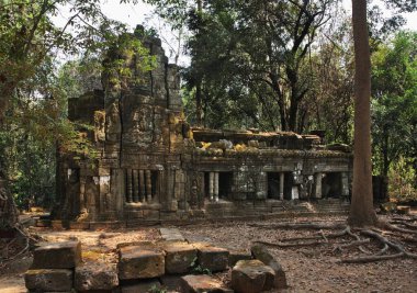 Angkor 'daki Ta Prohm tapınağı. Siem Reap bölgesi. Kamboçya