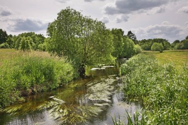 Siauliai yakınlarındaki manzara. Litvanya