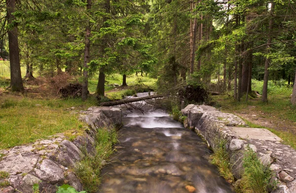 Στον Ποταμό Bystra Στο Kuznice Κοντά Στο Zakopane Πολωνία — Φωτογραφία Αρχείου